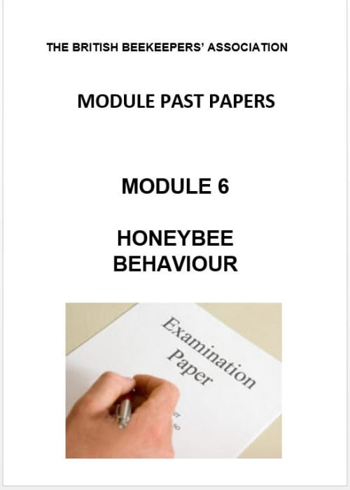 Module 6 - Past Papers - November 2021