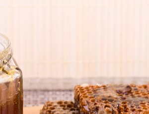 Honey Labelling Petition