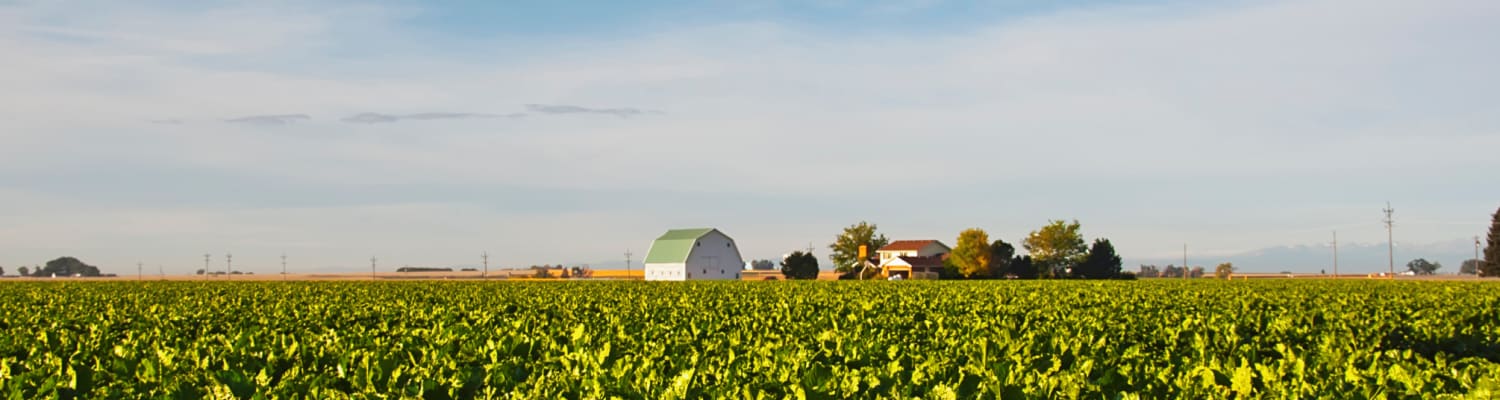 Neonicotinoids