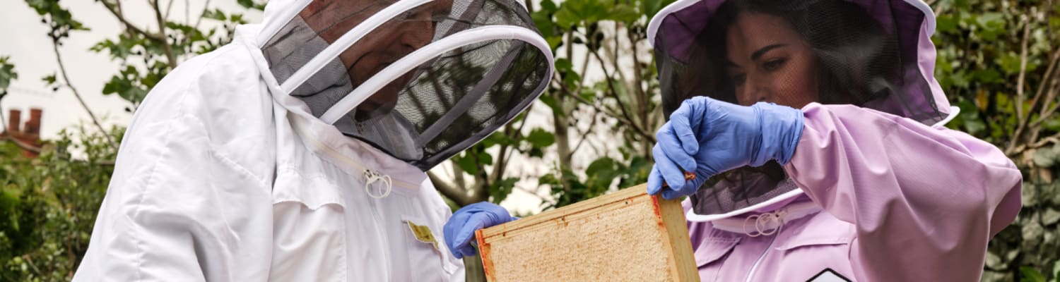 Honey Heroes Competition launched by Ocado
