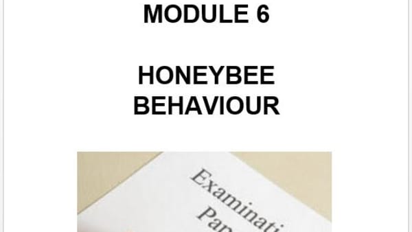Module 6 Past Papers