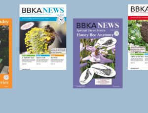 BBKA News Editor Vacancy