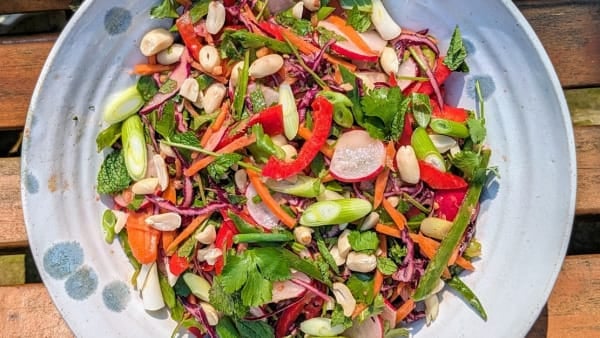 Crunchy Thai salad