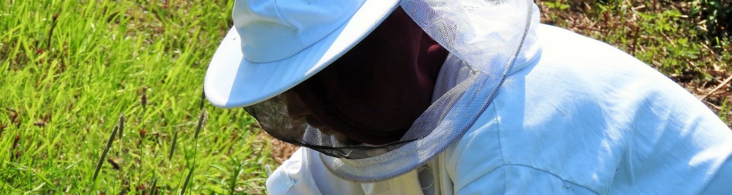 Becoming a Beekeeper