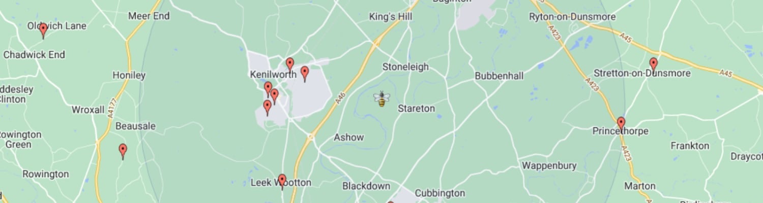 Find a local Swarm Collector