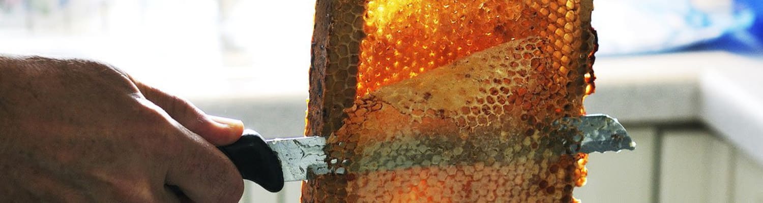 2020 BBKA Honey Survey is LIVE!