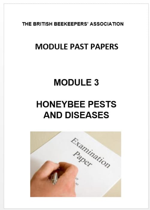 Module 3 - Past Papers - November 2019