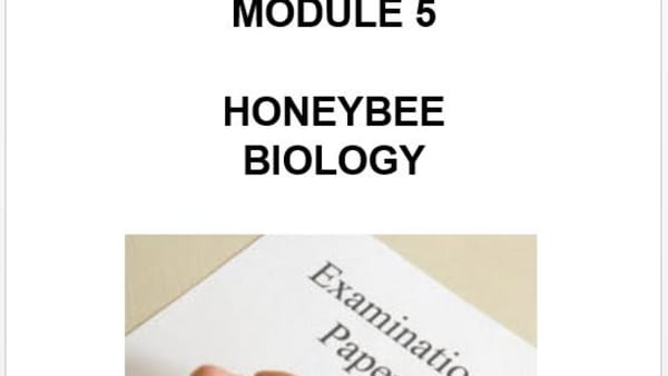 Module 5 Past Papers