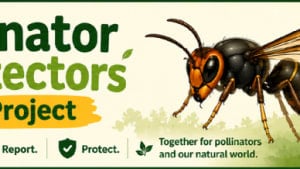 Pollinator Protectors!