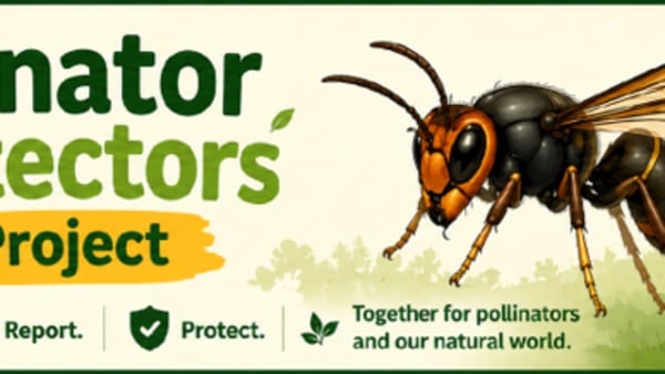 Pollinator Protectors!
