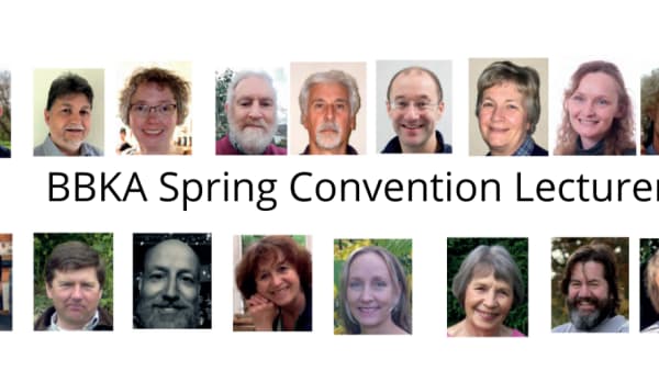 Spring Convention Lecturers