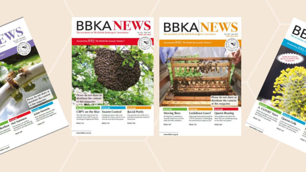 BBKA News and Media