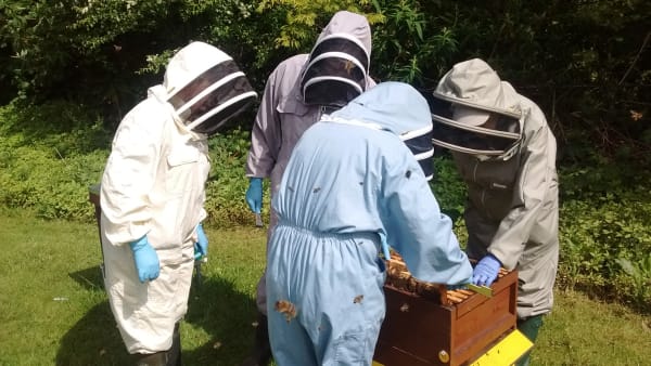 Interested in the fascinating hobby of beekeeping?