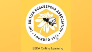 BBKA Learning Platform