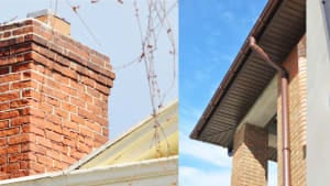 Bees in Buildings