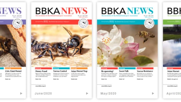 Reading BBKA News online