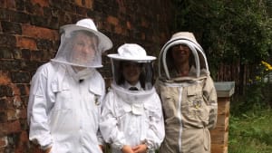 Develop young beekeepers