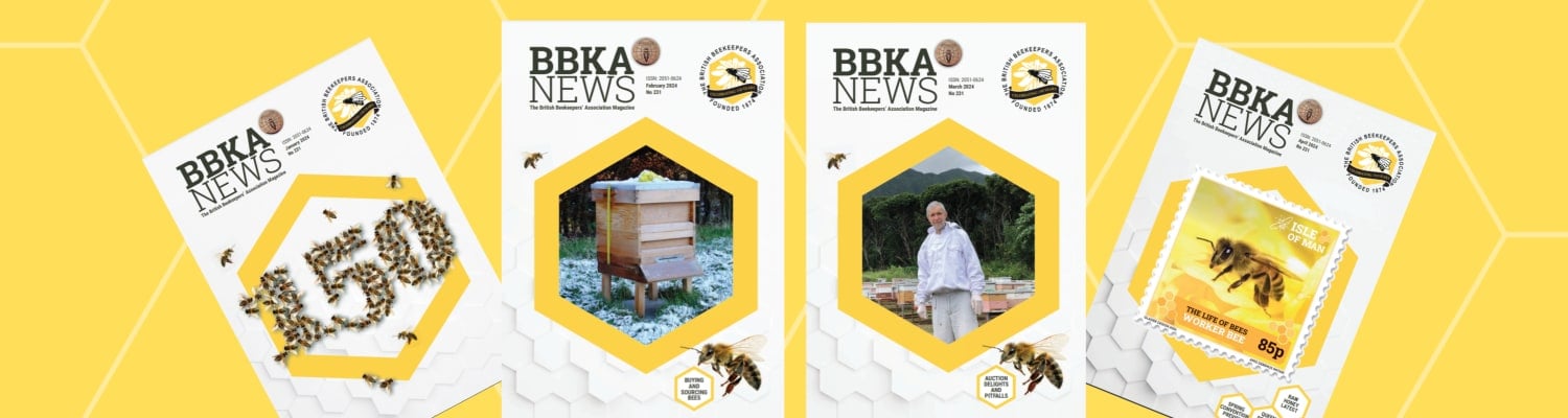 Reading BBKA News online